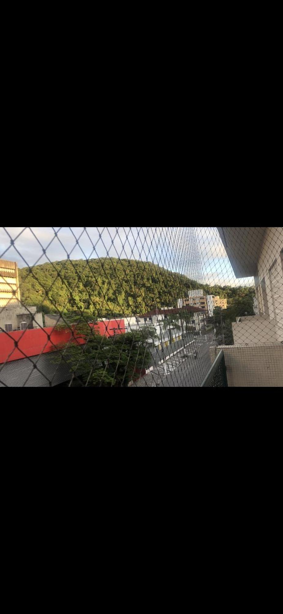 Pitu Pitangueiras